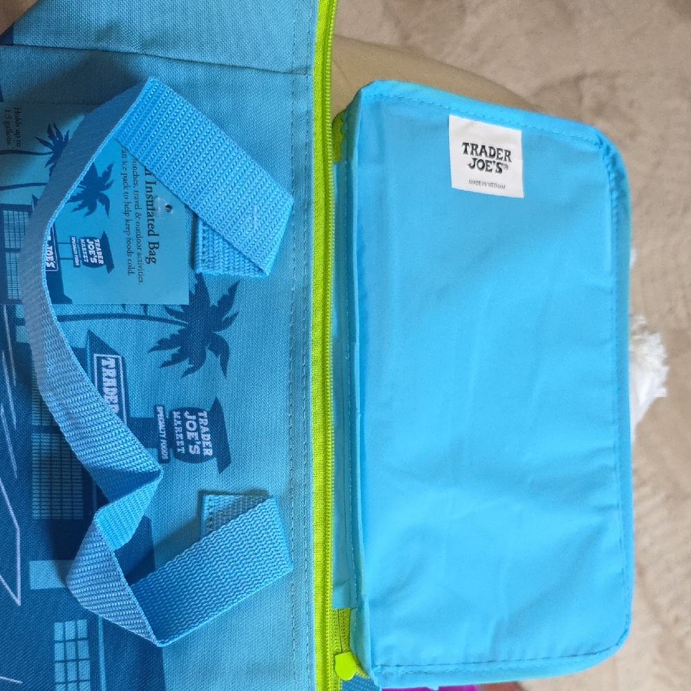 Trader Joe's Blue Insulated Storage Bag